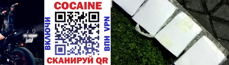 COCAIN Fish Scale Звенигово