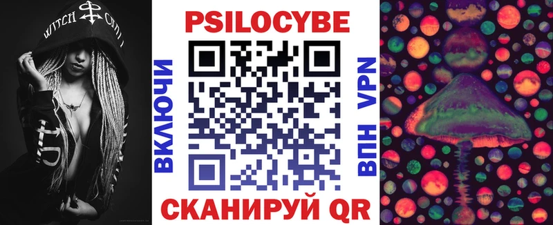 Псилоцибиновые грибы Psilocybine cubensis  Звенигово 