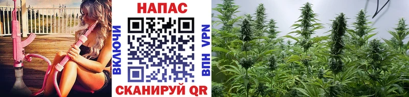 Конопля VHQ Звенигово